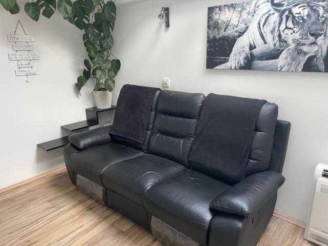 Cute Spot In Ljubljana Apartment ภายนอก รูปภาพ